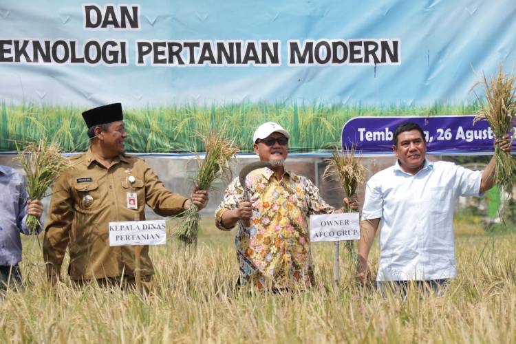 Delapan Perusahaan Besar Dukung Pertanian Organik Jombang lewat Program Bapak Asuh