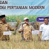 Delapan Perusahaan Besar Dukung Pertanian Organik Jombang lewat Program Bapak Asuh