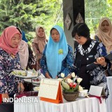 Lomba Olahan Singkong Sleman: PKK Dorong Inovasi Pangan Lokal Jadi Produk Premium