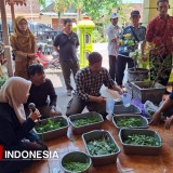 Tim Doktor Mengabdi UB Kembangkan Pupuk Organik Ramah Lingkungan
