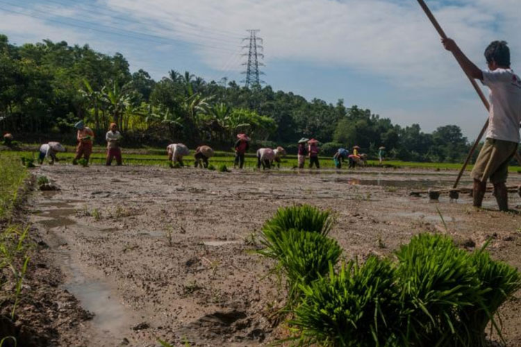 Air Bersih Enam Kecamatan Rawan Kekeringan di Kabupaten Malang Aman