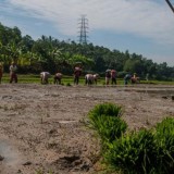 Air Bersih Enam Kecamatan Rawan Kekeringan di Kabupaten Malang Aman