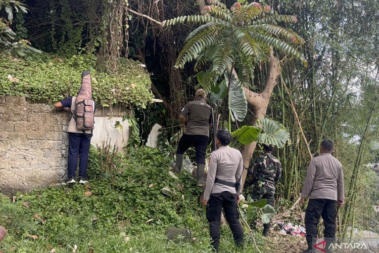 Macan Tutul Kabur dari Kandang Karantina di Lembang