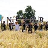 Benih Padi Hibrida untuk Dukung Ketahanan Pangan Nasional Diluncurkan di Pasuruan