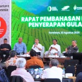 Danantara Siap Serap Produksi Petani melalui PT SGN dan ID Food