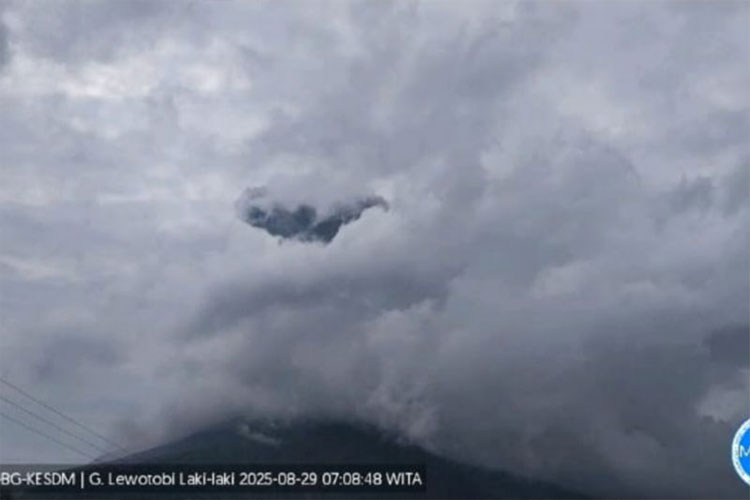 Gunung Lewotobi Laki-Laki di Kabupaten Flores Timur (Flotim), Nusa Tenggara Timur (NTT), erupsi dengan tinggi kolom abu teramati kurang lebih 2.084 meter di atas permukaan laut, Jumat (29/8/2025) pukul 12.12. (Foto: PVMBG)