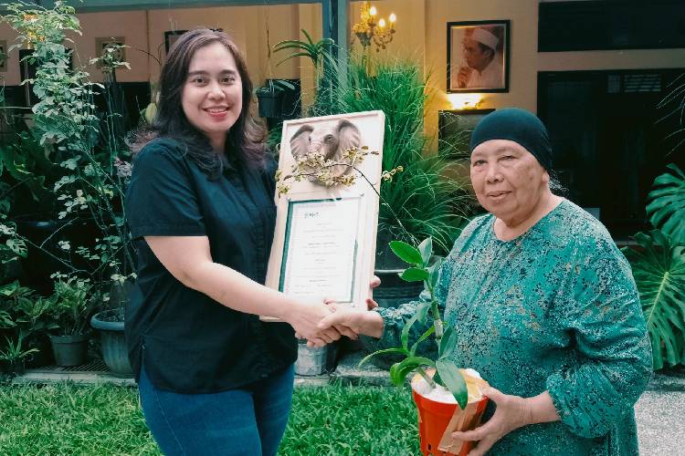 Anggrek Hibrida 'Gajah Baru' di Malang Resmi Terdaftar di RHS London