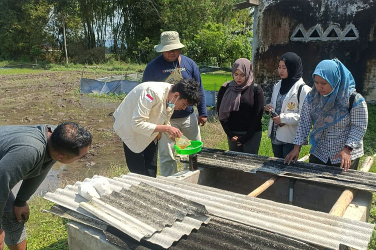 Banyuwangi Jadi Laboratorium Pupuk Cair Organik, Demi Pertanian Ramah Lingkungan
