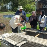 Banyuwangi Jadi Laboratorium Pupuk Cair Organik, Demi Pertanian Ramah Lingkungan