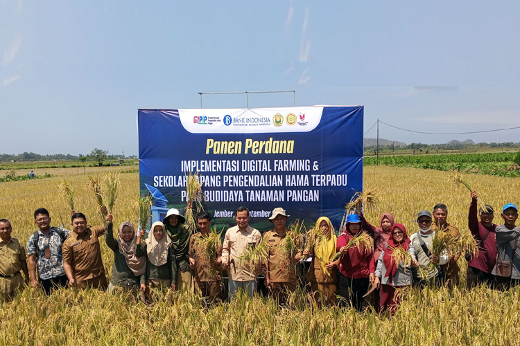 BI Jember Perkenalkan Digital Farming kepada Petani untuk Mendukung Ketahanan Pangan