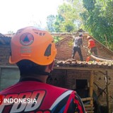 Angin Kencang di Bondowoso, Pohon-Pohon Tumbang Timpa Rumah Warga