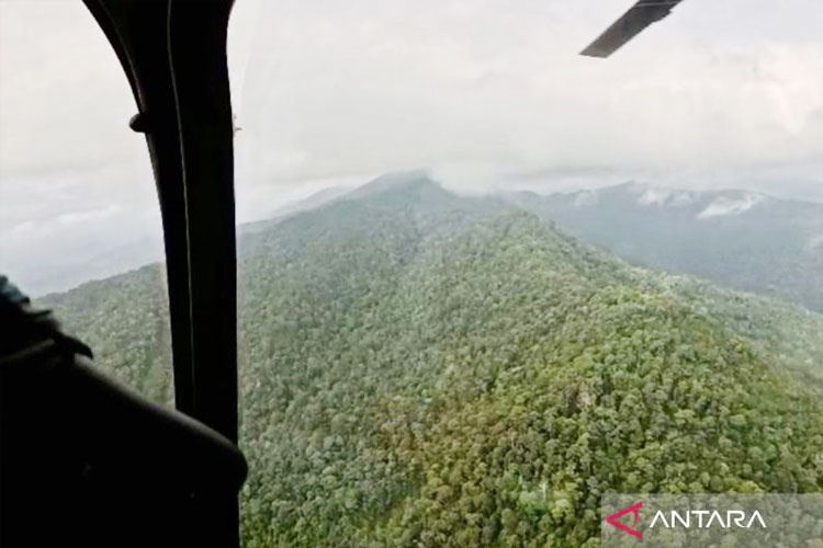 Helikopter Hilang di Kalsel: Cuaca Buruk Hambat Pencarian, 5 Heli Dikerahkan