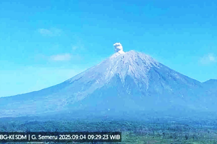 Gunung Semeru Erupsi Lagi, Kolom Abu Capai 500 Meter