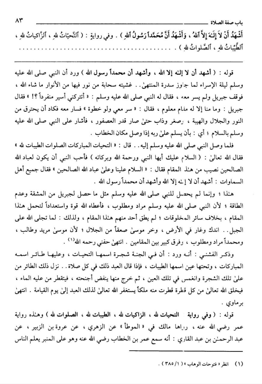 Hasyiyah-Al-Tarmasi.jpg