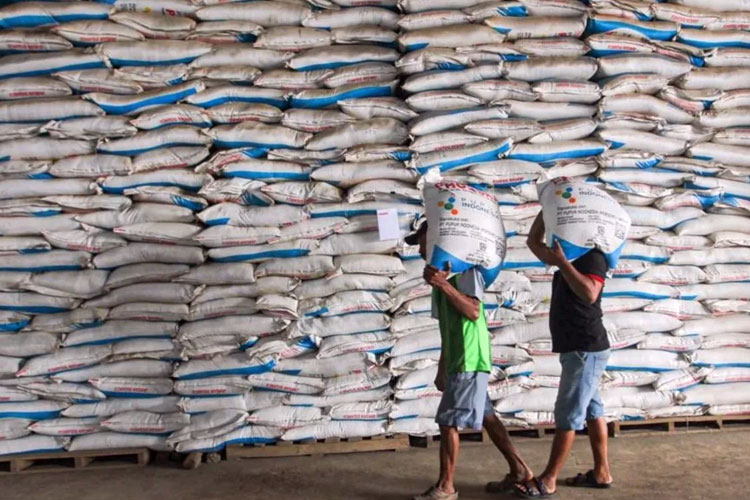 Pupuk Indonesia Siapkan 246.919 Ton Pupuk Subsidi dan Non-Subsidi untuk Musim Tanam Indonesia Timur