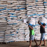 Pupuk Indonesia Siapkan 246.919 Ton Pupuk Subsidi dan Non-Subsidi untuk Musim Tanam Indonesia Timur