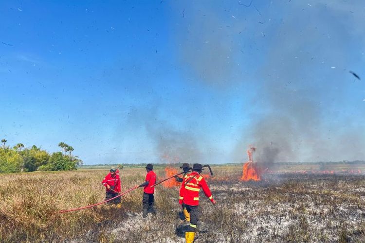 201 Hektare Lahan Taman Nasional Rawa Aopa Berhasil Dipadamkan