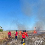 201 Hektare Lahan Taman Nasional Rawa Aopa Berhasil Dipadamkan