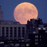 Malam ini! Fenomena Harvest Blood Moon Hiasi Langit Indonesia