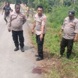 Tentara Tembak Tentara di Papua, Berawal dari Pertengkaran