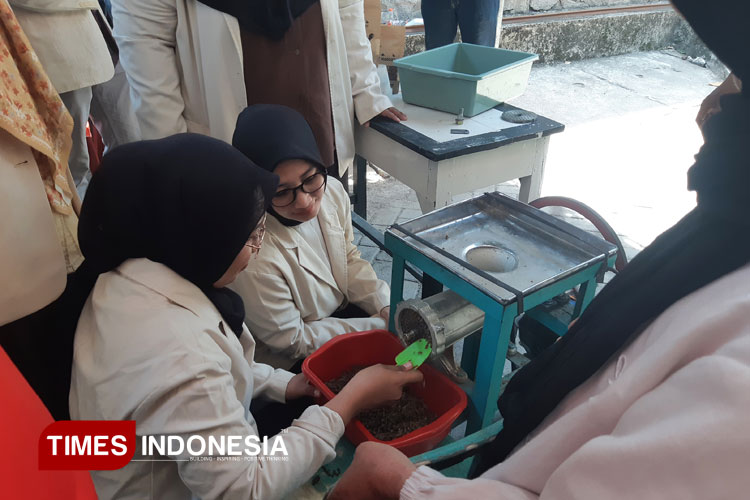 Kolaborasi UWKS dan Kampoeng Oase Songo Hasilkan Pelet Magot Berbasis Ekonomi Sirkular