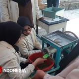 Kolaborasi UWKS dan Kampoeng Oase Songo Hasilkan Pelet Magot Berbasis Ekonomi Sirkular