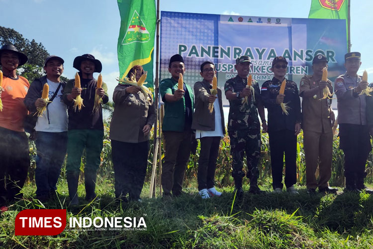 Panen Raya Jagung, GP Ansor Turen Dorong Pemuda Jadi Penggerak Ketahanan Pangan