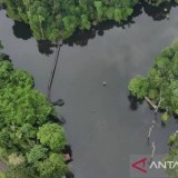 Dukung Ketahanan Air Bersih Masyarakat, Kaltim Ubah Kolam Bekas Tambang Jadi Sumber Air Baku