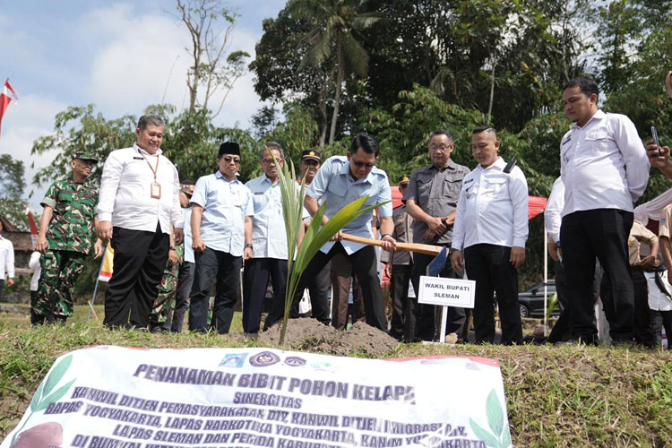 Wabup Sleman dan Bapas Yogyakarta Tanam Ribuan Bibit Kelapa untuk Ketahanan Pangan