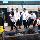 Bupati Malang Panen Raya 2,3 Ton Ikan Nila di Lawang, Dorong Ketahanan Pangan Desa