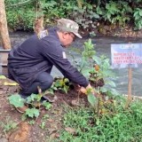 FISIP Unira Malang Ajak Maba Hijaukan dan Latih Kekompakan di Kawasan Sumber Maron