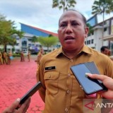 Produksi Kayu Log Papua Barat Capai 148.602 m³, Merbau Dominasi Output