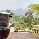 Kopi Taji, Wisata Edukasi Kopi dari Lereng Bromo
