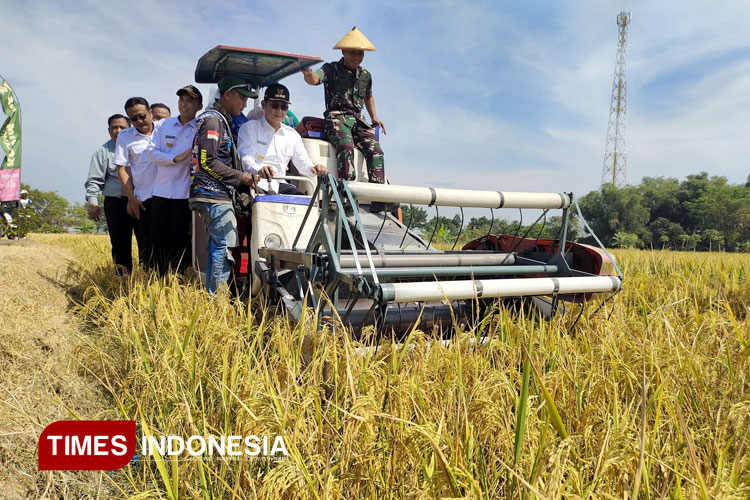 panen-raya-Lamongan-3.jpg