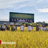 Perkuat Sinergi, Kodim 0812 Lamongan Siap Jogo Lamongan dan Wujudkan Berdaya Pangan