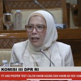 Uji Kelayakan Calon Hakim Agung, Anggota DPR Tanya Diana Malemita Ginting soal Pajak Karbon