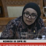 Fit And Proper Test Calon Hakim Agung, DPR Tanya Soal Praktik Manipulasi Data di Perdagangan Emisi
