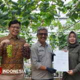 Optimalisasi Aset Pertanian, Polbangtan Malang dan KPKNL Malang Perkuat Sinergi Lintas Sektor