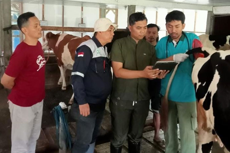 Inovasi Kandang Sejuk dan Pakan Unggul, UB Gandeng KUD Gondanglegi Hadapi Perubahan Iklim