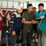 Inovasi Kandang Sejuk dan Pakan Unggul, UB Gandeng KUD Gondanglegi Hadapi Perubahan Iklim