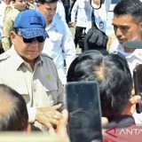 Presiden Prabowo Subianto Turun Langsung Cek Kerusakan Banjir di Denpasar