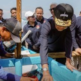 Sri Sultan HB X Tekankan Peningkatan Kapasitas Nelayan Yogyakarta Tak Cuma Wacana