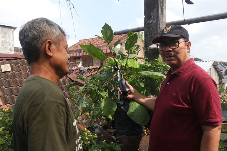 Kampung Hijau di Tengah Kota Yogyakarta, Warga Suryatmajan Jadi Teladan Pengelolaan Sampah