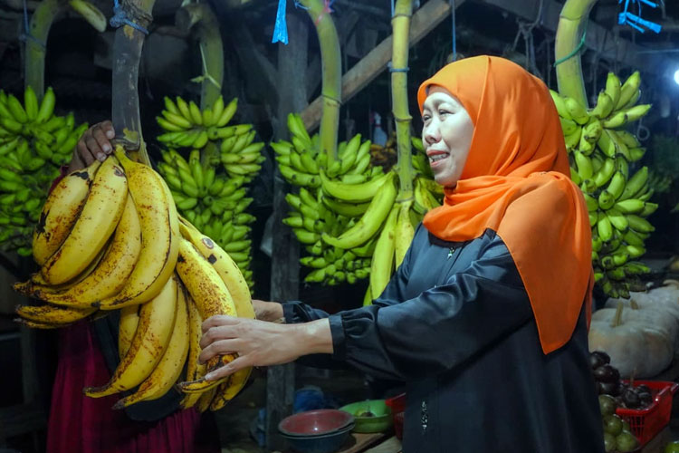 Gubernur Khofifah saat berbelanja Pisang Agung khas Lumajang di Pasar Ranuyoso, Senin (15/9/2025) malam. (Foto: Dok.Humas Pemprov Jatim)