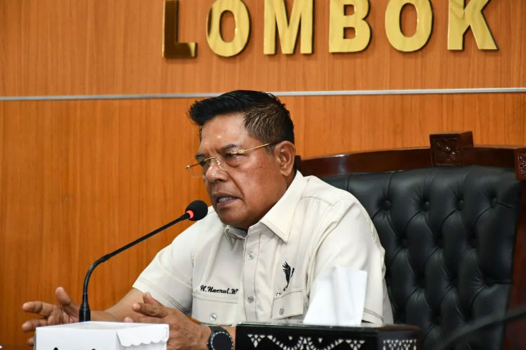 Bupati Lombok Timur, Nusa Tenggara Barat (NTB), Haerul Warisin (FOTO: Antara/HO-Diskominfotik Lombok Timur)