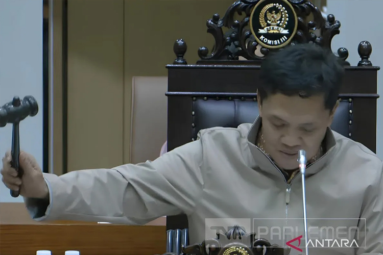 Penetapan Hakim Agung dan Hakim Ad Hoc MA. Dok: Antara