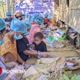 Cegah Stunting di Desa Pulupanjang, PKM Kemendiktisaintek Olah Manggulu Varian Hati Ayam