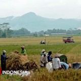 Capaian dan Sumberdaya Kuat, Ketahanan Pangan di Kabupaten Malang Terwujud
