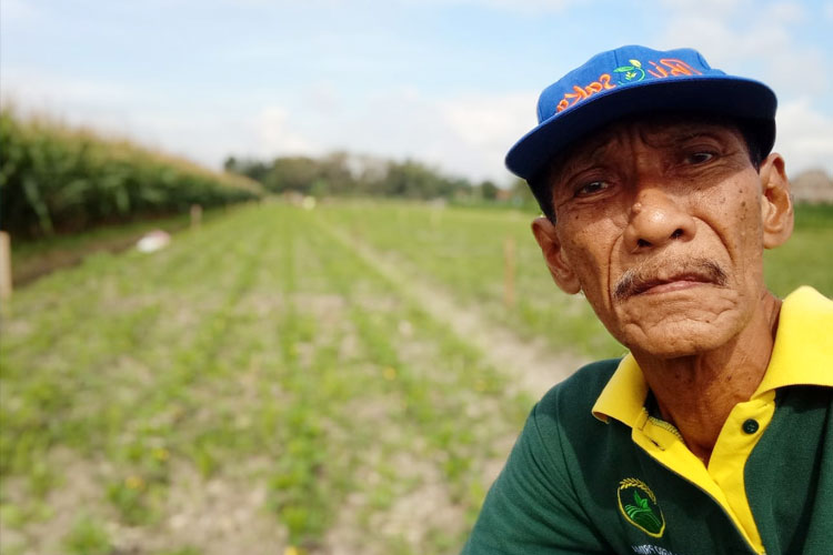 Gagas Sistem Blok, HKTI Bantul Berharap Panen Berkelanjutan Hingga 2026