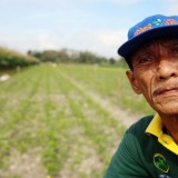 Gagas Sistem Blok, HKTI Bantul Berharap Panen Berkelanjutan Hingga 2026